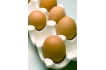 天天吃鸡蛋让你比同龄人短寿?孕妇的菜谱